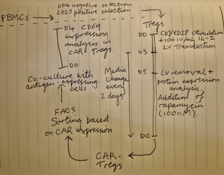 Car manufacturing
